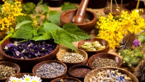 Herbal supplements for preconception health