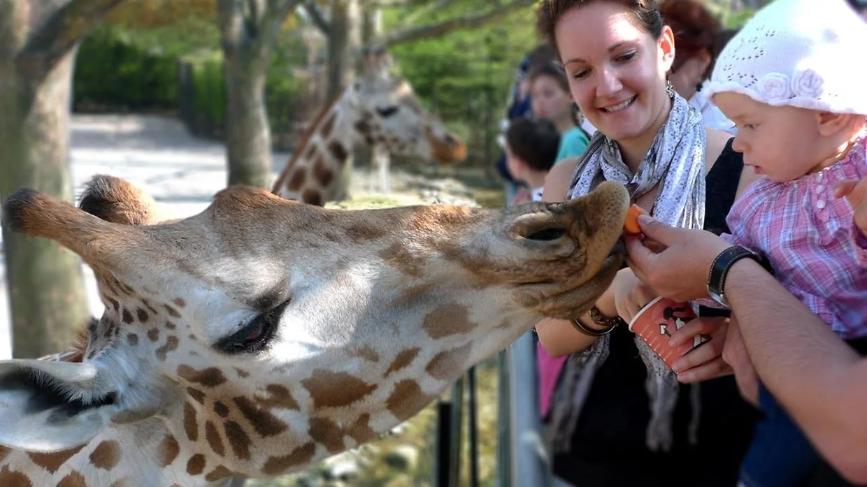 Best Family-Friendly Activities in El Paso