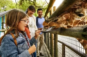 Best family-friendly activities in El Paso Ac